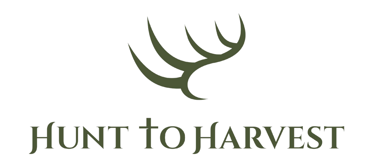 Shop Youth at Hunt to Harvest | Hunt to Harvest