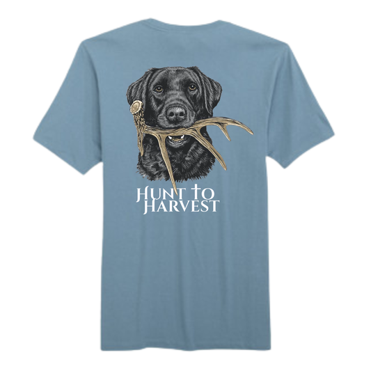 Dog and Shed-Riverwash Blue or Bay