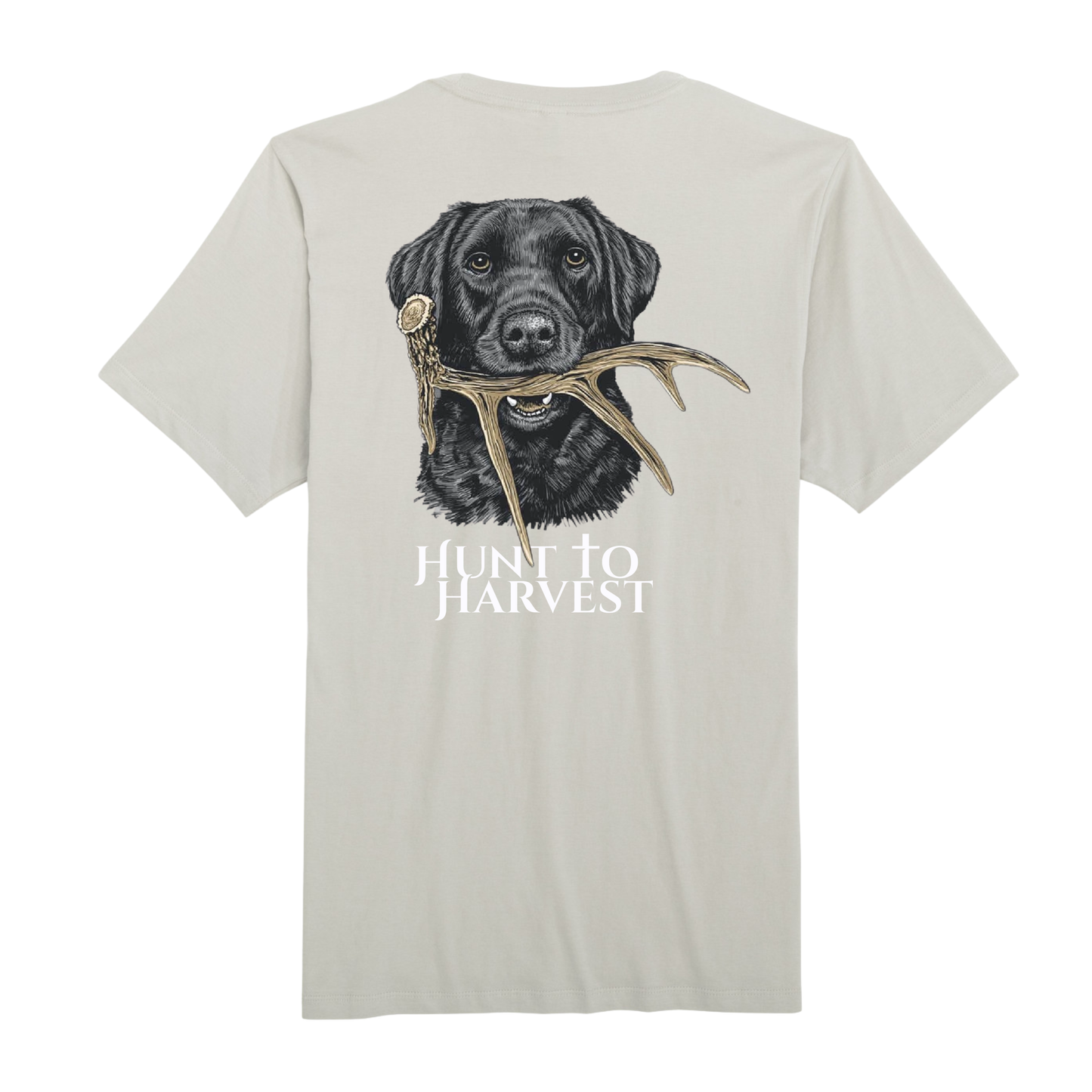 Dog and Shed-Riverwash Blue or Bay