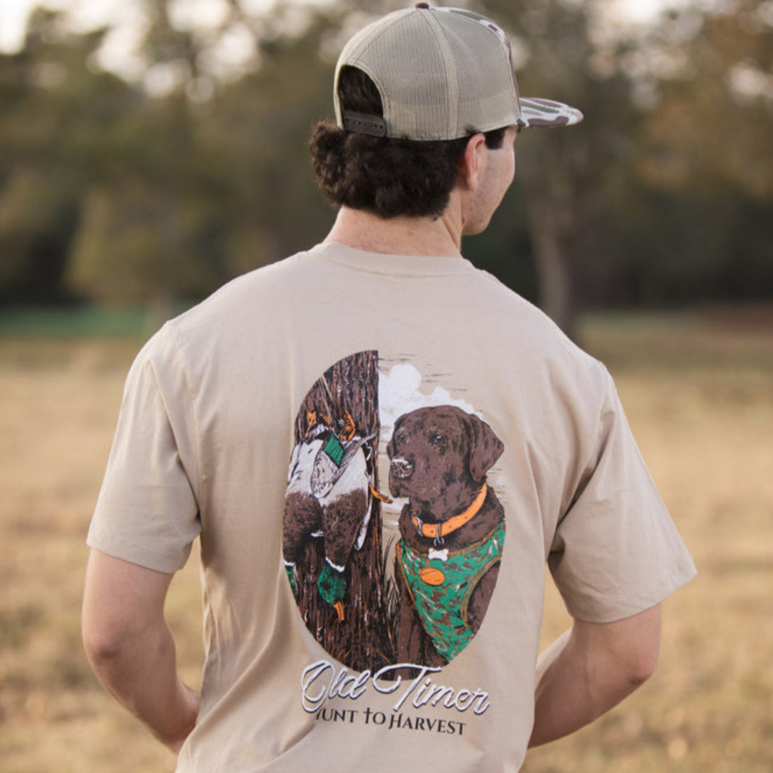 Old Timer-Laurel Oak