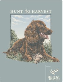 Short Sleeve Dove Dog - Bay - Hunt to Harvest