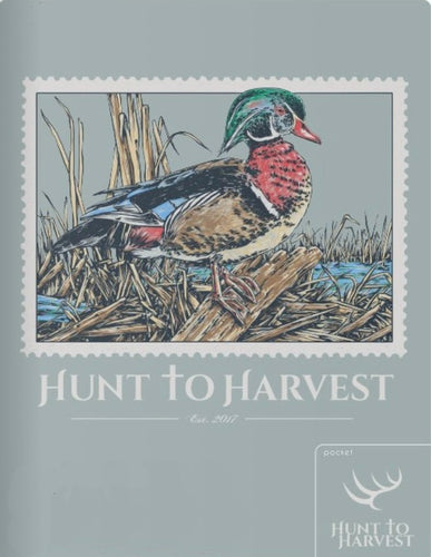 Short Sleeve Wood Duck Stamp - Bay - Hunt to Harvest